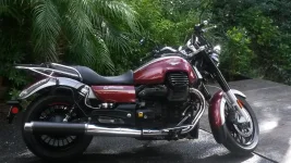 Cali 1400 Burgundy.webp