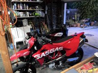 IMG_3931.jpeg